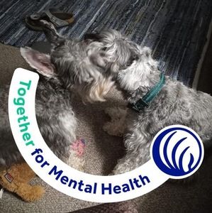 Meet your Posher, Krista